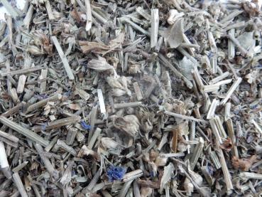 Preview: Wegwarte räuchern